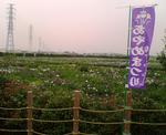 060625Si.JPG