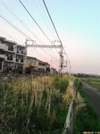 D1000288.JPG