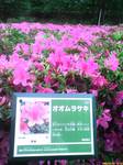 D1000987.JPG