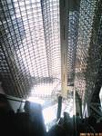 D1002095.JPG