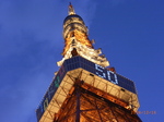 RIMG0157.JPG