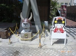 RIMG0421.JPG