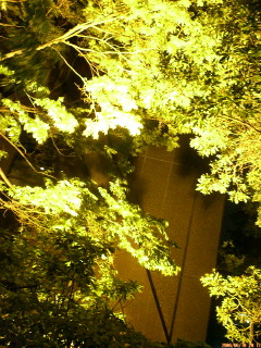 image/ssasachan-2006-06-14T20:50:40-1.jpg