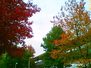 20061119102030.jpg