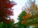 20061119102030.jpg
