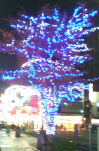 20061204172302.jpg