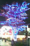 20061204172302.jpg