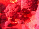 20061210111312.jpg