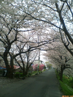 20070402150551.jpg