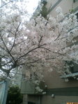 20070402144553.jpg