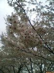 20070402145749.jpg