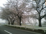 20070402145426.jpg