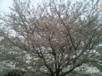 20070402145024.jpg