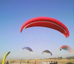 D1000210.jpg