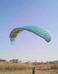 D1000207.jpg