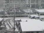 D1000469.jpg
