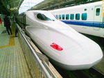 D1002024.jpg