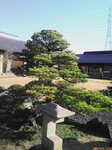 D1000202.jpg