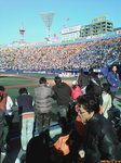 D1000750.jpg