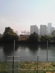 D1000885.jpg